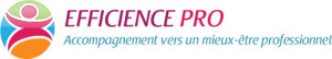Logo EFFICIENCE PRO petit